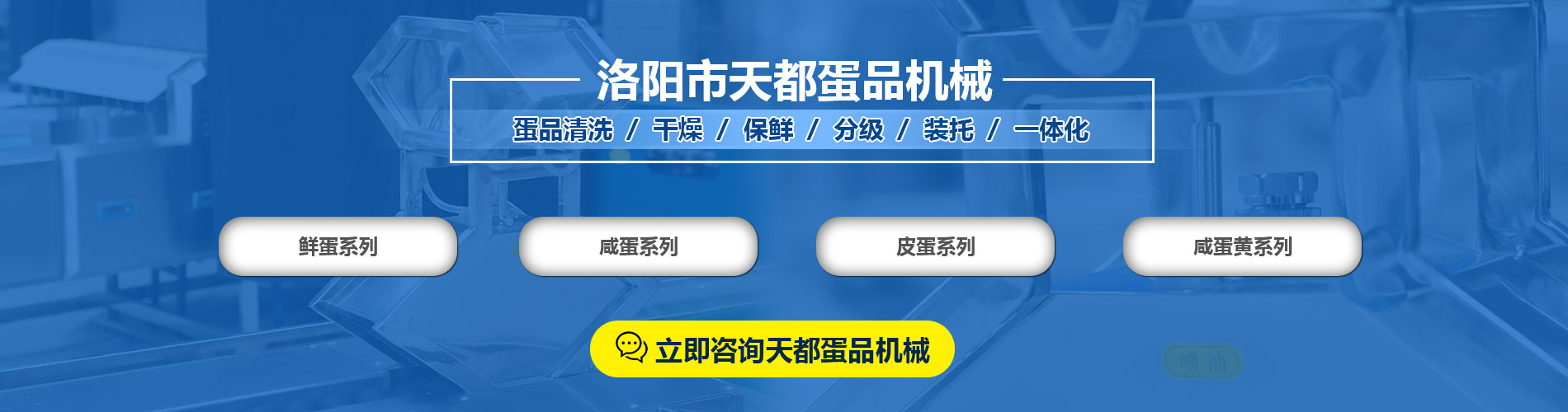 洗蛋機_蛋品清洗機_雞蛋、鴨蛋清洗機廠家-洛陽市天都蛋品機械有限公司